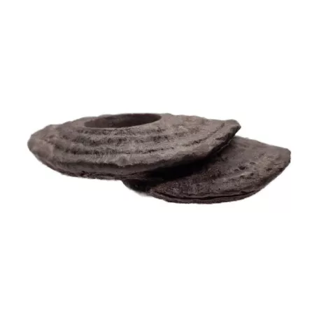 ZooMed Arboreal Feeding Platform | Magaslati teraszos etetőtál