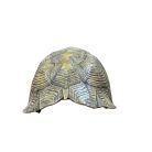 Terrarium Relic Shell Hide – Prémium műgyanta teknőspáncél barlang (16 × 24 × 7 cm)  - sárgásbarna