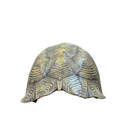 Terrarium Relic Shell Hide – Prémium műgyanta teknőspáncél barlang (16 × 24 × 7 cm)  - sárgásbarna