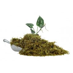   The Pet Factory Trocken-Moos | Prémium szárított moha szállításhoz és dekorációhoz – 100 g