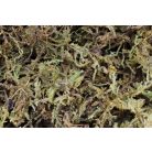 The Pet Factory Trocken-Moos | Prémium szárított moha szállításhoz és dekorációhoz – 100 g