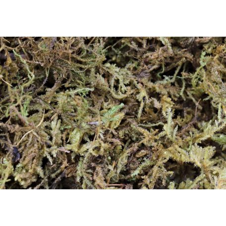 The Pet Factory Trocken-Moos | Prémium szárított moha szállításhoz és dekorációhoz – 100 g