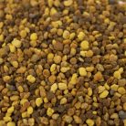 TerraSaurus Bee pollen immun boost| Immunerősítő virág pollen táp hüllőknek, rovaroknak - 50 g