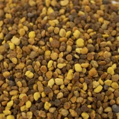   TerraSaurus Bee pollen immun boost| Immunerősítő virág pollen táp hüllőknek, rovaroknak - 50 g