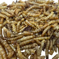   HexPets | Prémium szárított lisztkukac csemege hüllők, madarak és rágcsálók részére – 200 ml