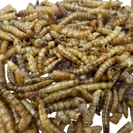 HexPets | Prémium szárított lisztkukac csemege hüllők, madarak és rágcsálók részére – 200 ml