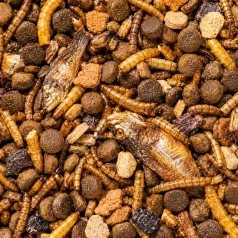   HexPets | Hedgehog Complete Diet Mix | Törpesün teljes értékű eledel rovarokkal és zöldségekkel – 350 g