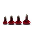 HabiStat | Red Night Spot Lamp | Vörös éjszakai melegítő izzó éjszakai hüllők terráriumába - 150 W
