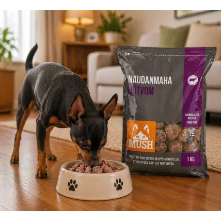 Mush | Zöld Pacal Golyó | Természetes probiotikus kiegészítő eledel – 1 kg