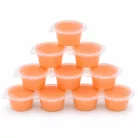 Bogárzselé - Jellybite Classic Pink Multivitamin | Prémium gyümölcsalapú bogár- és hüllőeleség hozzáadott multivitaminnal és aminosavakkal – 18 g