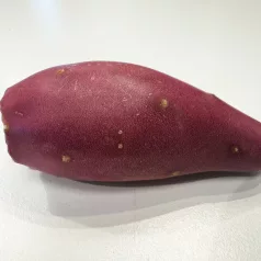 Kaktuszfüge| - növényevő hüllők részére ~ 15g / db