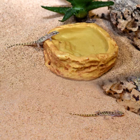 HabiStat | Sandstone Water Dish | Természetes hatású itatótál hüllők számára - S