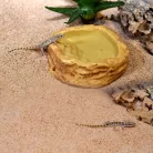 HabiStat | Sandstone Water Dish | Természetes hatású itatótál hüllők számára - XL