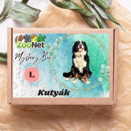 Mystery Box ajándékdoboz Kutyáknak– L