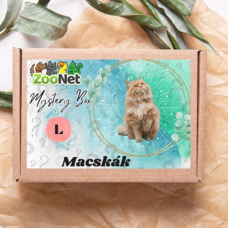 Mystery Box ajándékdoboz Macskáknak– L