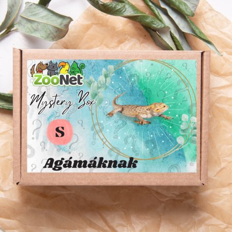 Mystery Box ajándékdoboz Szakállas agámáknak – S