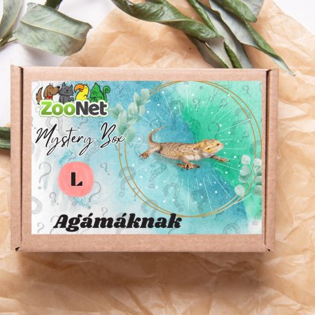 Mystery Box ajándékdoboz Szakállas agámáknak – L