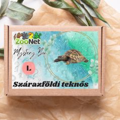 Mystery Box ajándékdoboz Szárazföldi teknősnek – L