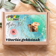 Mystery Box ajándékdoboz Vitorlás gekkóknak – S