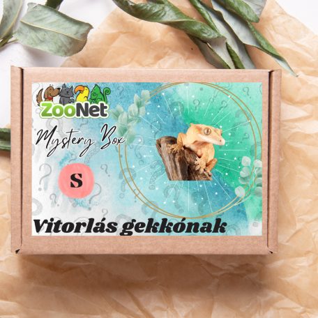 Mystery Box ajándékdoboz Vitorlás gekkóknak – S