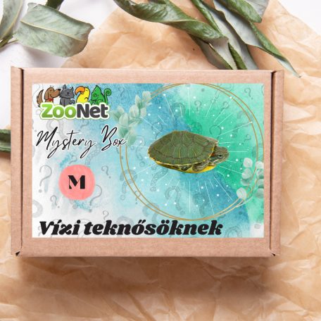 Mystery Box ajándékdoboz Vízi teknősöknek – M