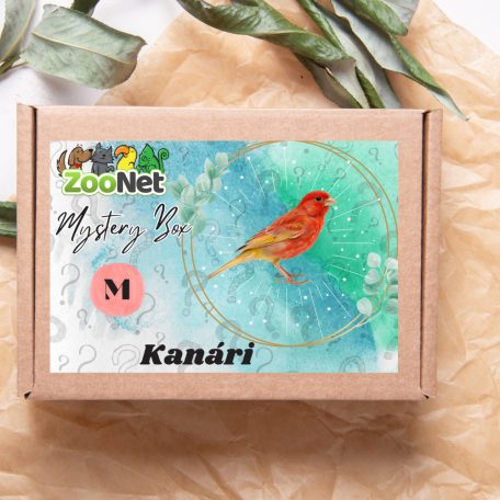 Mystery Box ajándékdoboz Kanárinak – M