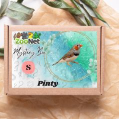 Mystery Box ajándékdoboz Pintyeknek– S