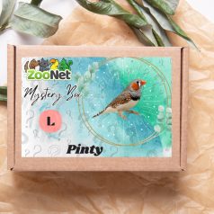 Mystery Box ajándékdoboz Pintyeknek– L