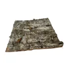 Természetes nyírfa kéreg dekorációs lap | Terráriumi háttérépítő elem – 10x10 cm - 1 db