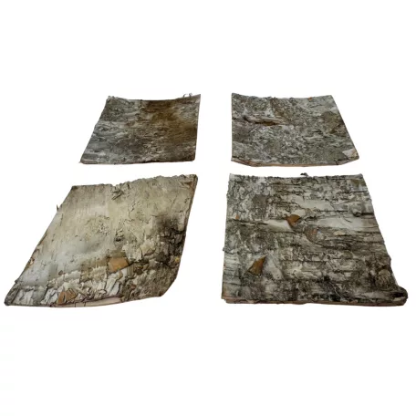 Természetes nyírfa kéreg dekorációs lap | Terráriumi háttérépítő elem – 10x10 cm - 1 db