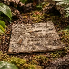   Természetes nyírfa kéreg dekorációs lap | Terráriumi háttérépítő elem – 20x20 cm - 1 db