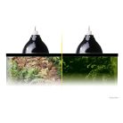 Exo Terra Glow Light | Fluoreszkáló lámpabúra - S