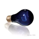 Exo Terra Night Heat Lamp | Éjszakai melegítő izzó - 50 W