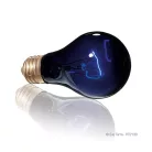 Exo Terra Night Heat Lamp | Éjszakai melegítő izzó - 75 W