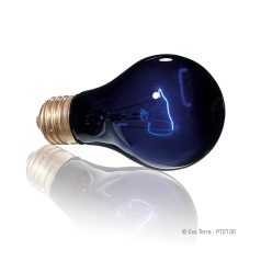   Exo Terra Night Heat Lamp | Éjszakai melegítő izzó - 75 W
