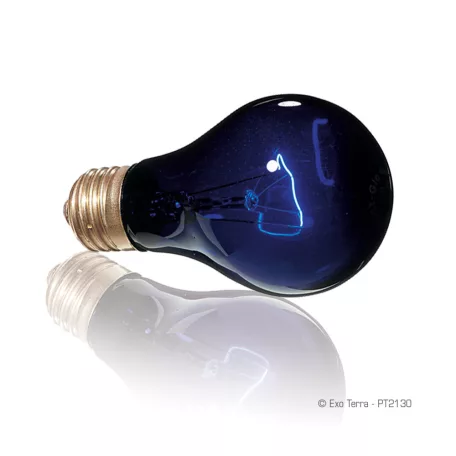 Exo Terra Night Heat Lamp | Éjszakai melegítő izzó - 75 W
