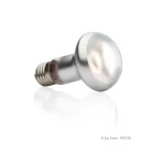 Exo Terra Intense Basking Spot Lamp | Melegítő izzó - 50 W