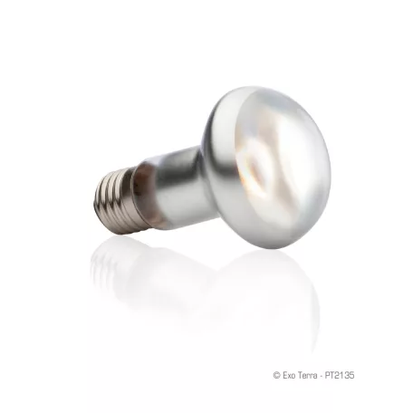 Exo Terra Intense Basking Spot Lamp | Melegítő izzó - 50 W