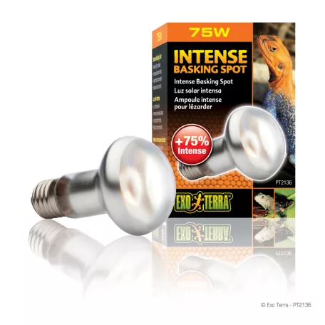 Exo Terra Intense Basking Spot Lamp | Melegítő izzó - 75 W