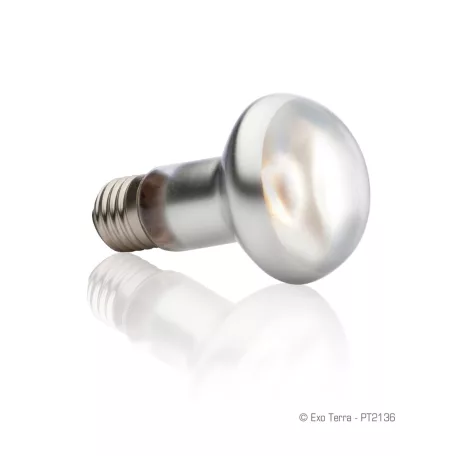 Exo Terra Intense Basking Spot Lamp | Melegítő izzó - 75 W