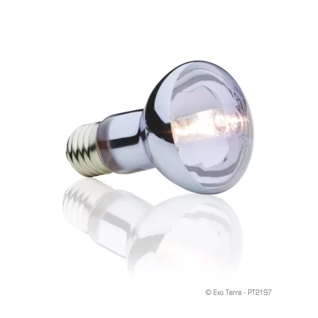 Exo Terra Halogen Basking Spot | Halogén melegítő izzó - 75 W