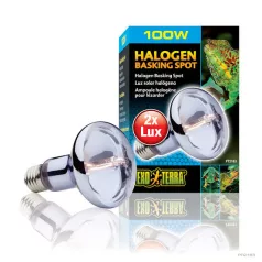   Exo Terra | Halogen Basking Spot | Halogén sütkérező izzó terráriumokhoz – 100 W