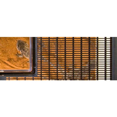 Exo Terra Faunarium | M