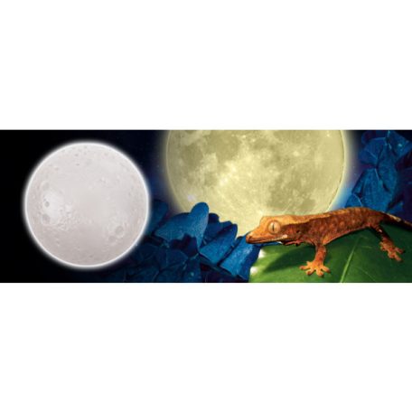 Exo Terra Full Moon | Holdfény 