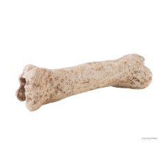 Exo terra Dinosaur Bone | Dinoszaurusz csont dekoráció 