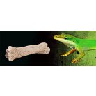 Exo terra Dinosaur Bone | Dinoszaurusz csont dekoráció 