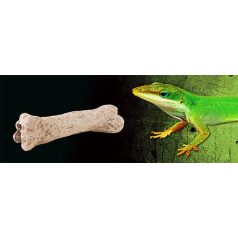 Exo terra Dinosaur Bone | Dinoszaurusz csont dekoráció 