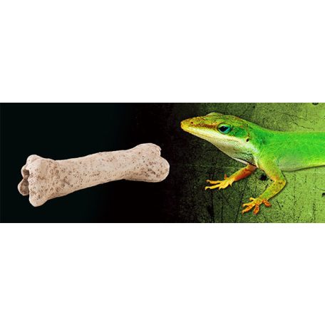 Exo terra Dinosaur Bone | Dinoszaurusz csont dekoráció 
