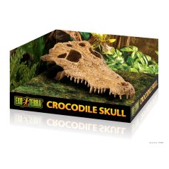 Exo Terra Crocodile Skull | Krokodil koponya