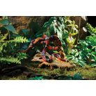 Exo Terra Crocodile Skull | Krokodil koponya